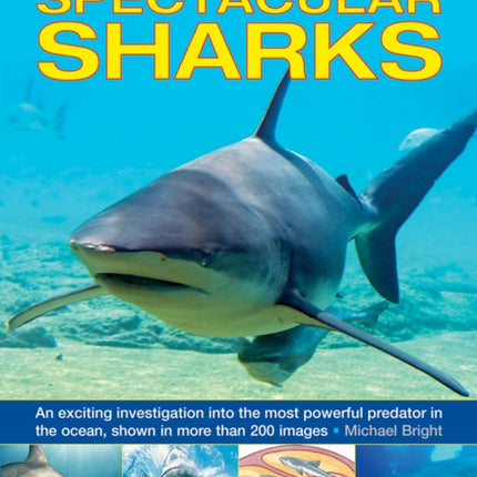 Exploring Nature: Spectacular Sharks