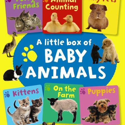 Little Box of Baby Animals