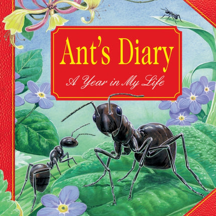 Ant's Diary