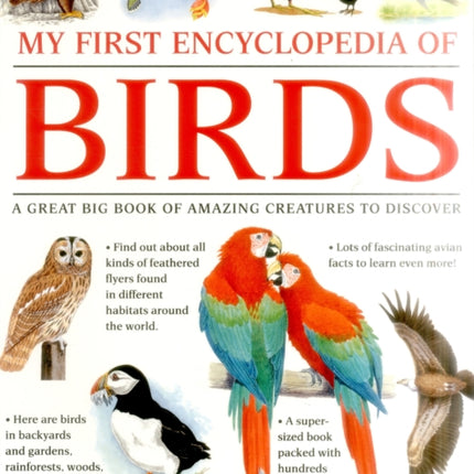 My First Encylopedia of Birds (giant Size)