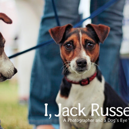 I, Jack Russell: a Photographer and a Dog's Eye View