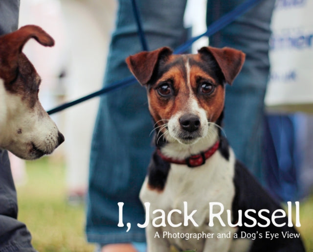 I, Jack Russell: a Photographer and a Dog's Eye View