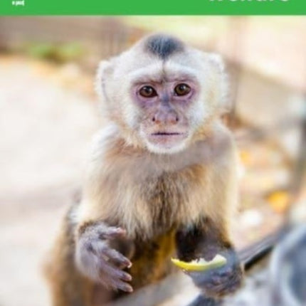 Animal Rights  Welfare