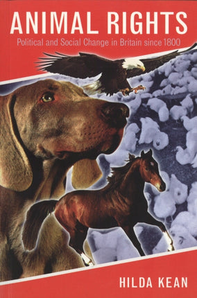 Animal Rights Political and Social Change in