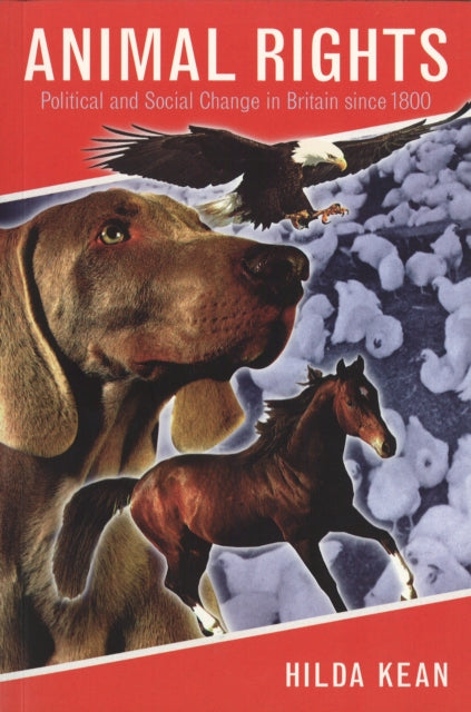 Animal Rights Political and Social Change in