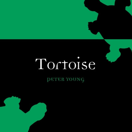 Tortoise