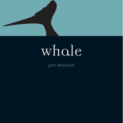 Whale