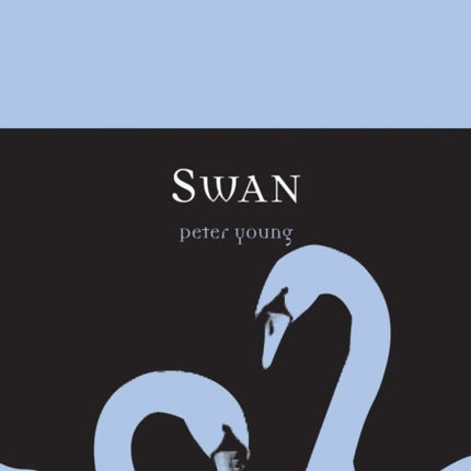 Swan Animal
