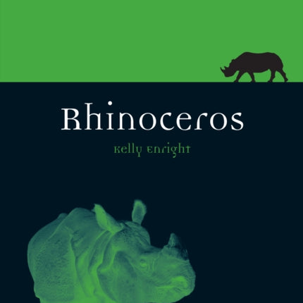 Rhinoceros Animal Animal Series