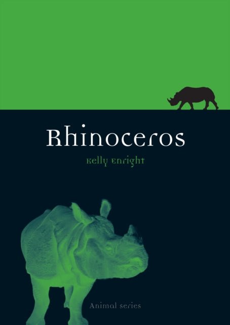 Rhinoceros Animal Animal Series