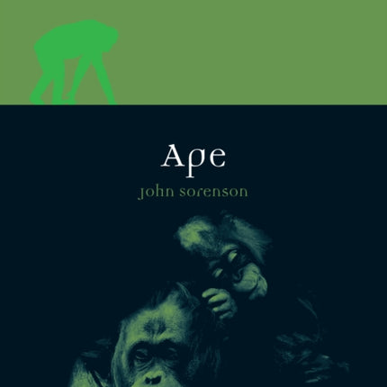 Ape Animal Animal Series