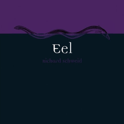 Eel Animal Animal Series