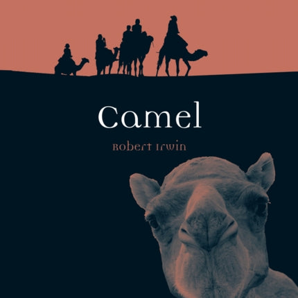 Camel