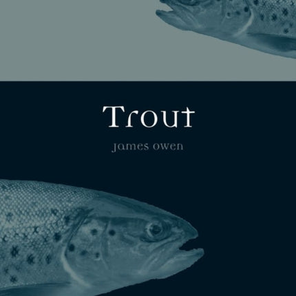 Trout by Owen James  AUTHOR  Feb012012 Paperback