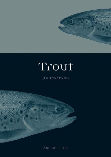 Trout by Owen James  AUTHOR  Feb012012 Paperback
