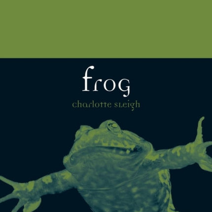 Frog Animal Series