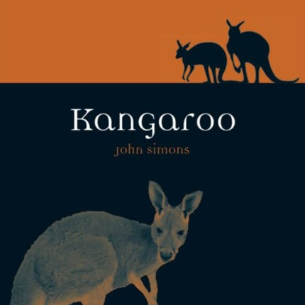Kangaroo Animal Series
