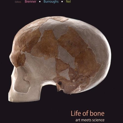 Life of Bone: The Taung Fossil and Thre South