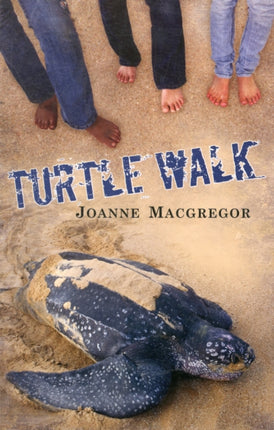 Turtle Walk