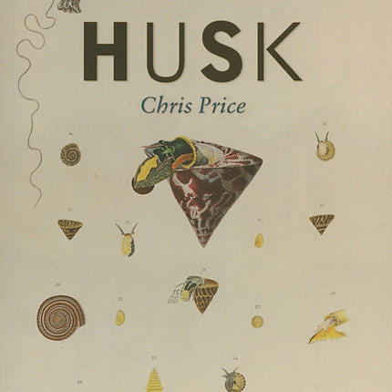 Husk: paperback