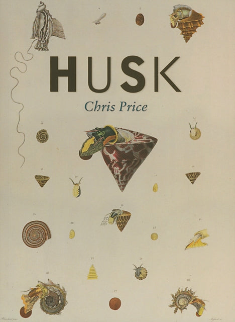 Husk: paperback