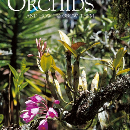 Botanical Orchids and How to Grow Them