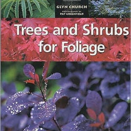 Trees and Shrubs for Foliage The woody plant