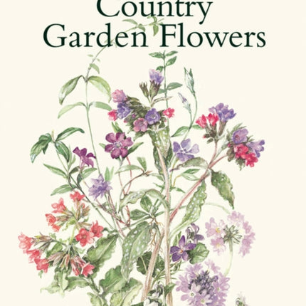 Mary Mcmurtrie's Country Garden Flowers