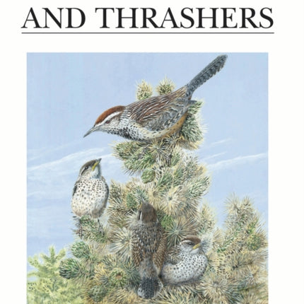 Wrens, Dippers and Thrashers
