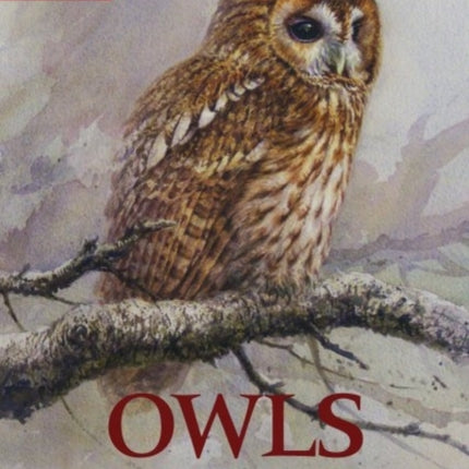 Owls