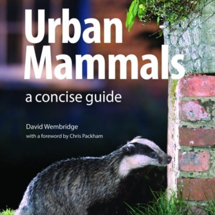 Urban Mammals