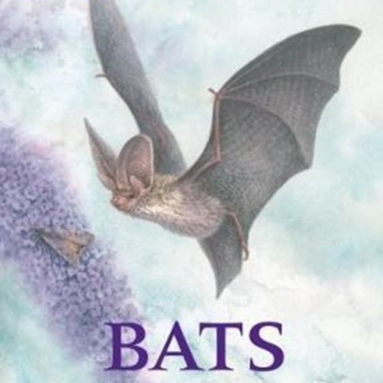 Bats