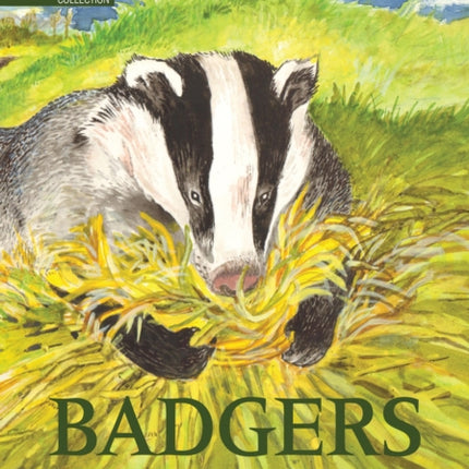 Badgers