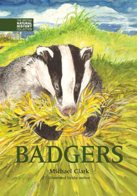 Badgers