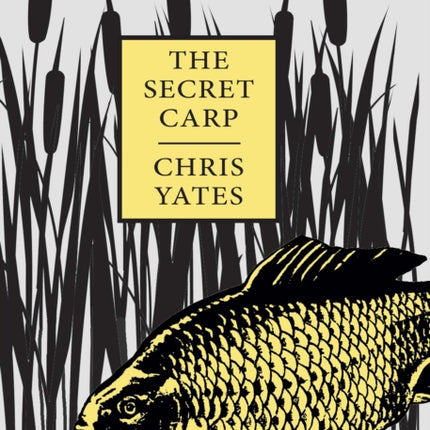 The Secret Carp