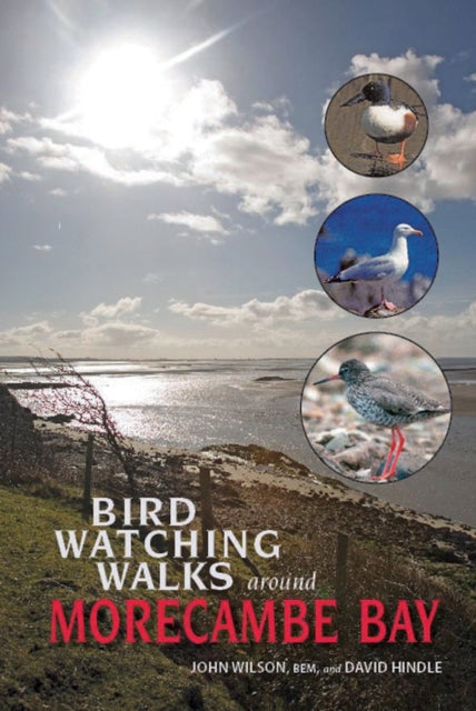 Birdwatching Walks Around Morecambe Bay