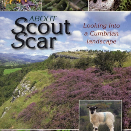 About Scout Scar: Looking into a Cumbrian Landscape