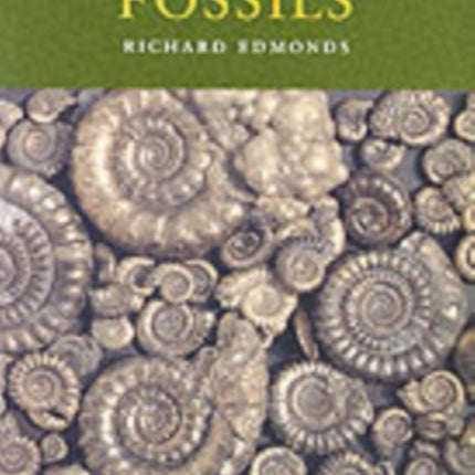 Discover Dorset Fossils