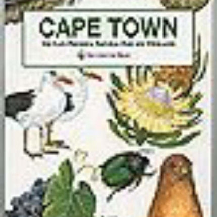 Discover the Magic  Cape Town