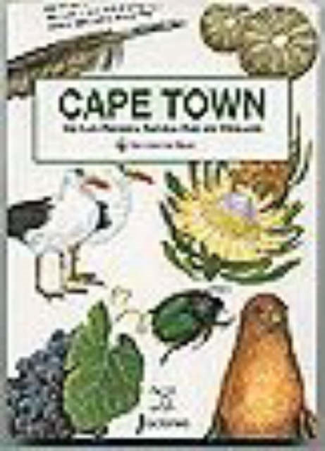 Discover the Magic  Cape Town