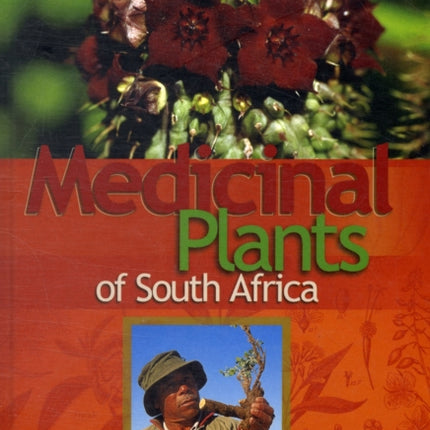 Medicinal plants of Southern Africa