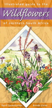 Illustrated guide to wildflowers of Northern South Africa