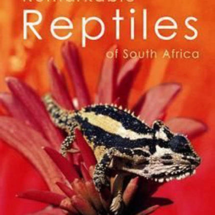 Remarkable reptiles of South Africa