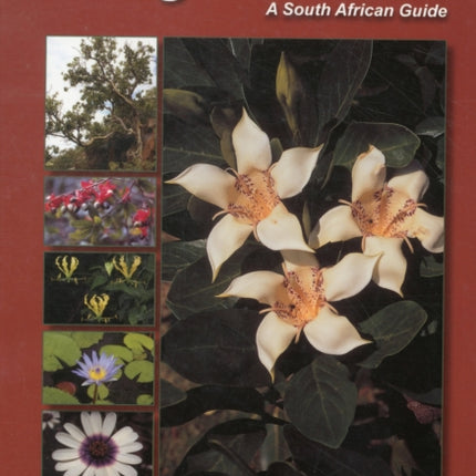 Creative gardening with indigenous plants: A South African guide