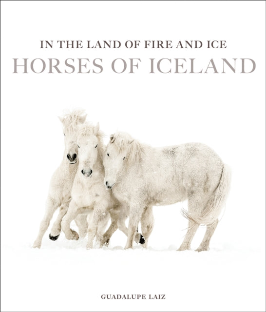 Horses of Iceland