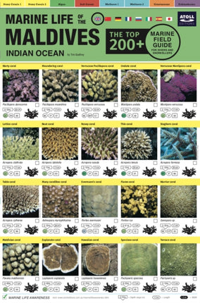 Maldives Marine Life Field Guide: "Top 200+"