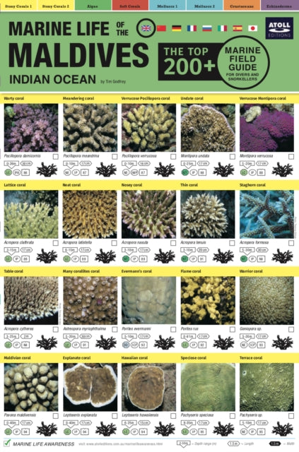 Maldives Marine Life Field Guide: "Top 200+"