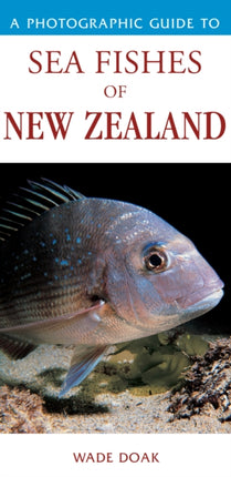 Photographic Guide to Sea Fishes of New Zealand