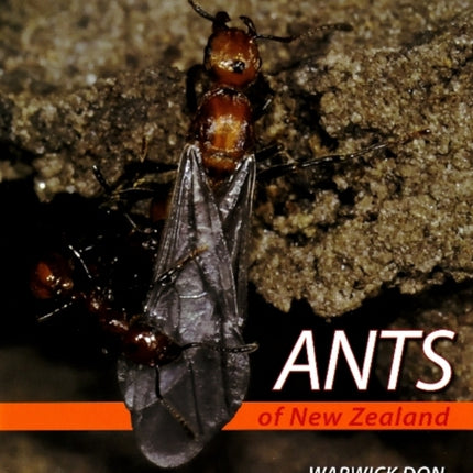 Ants of New Zealand