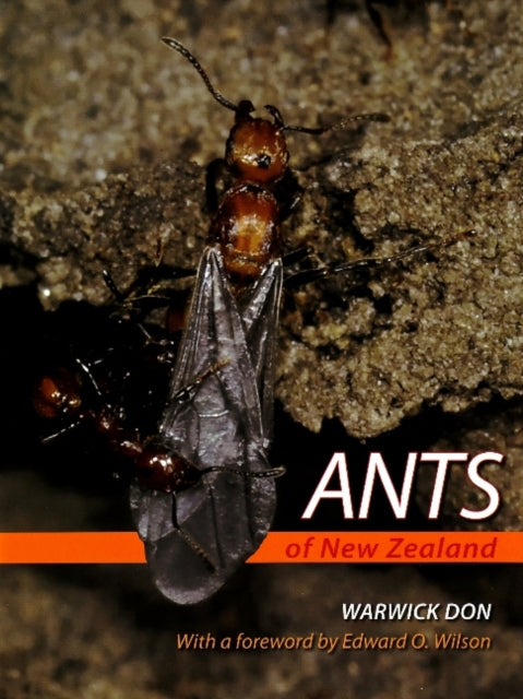 Ants of New Zealand